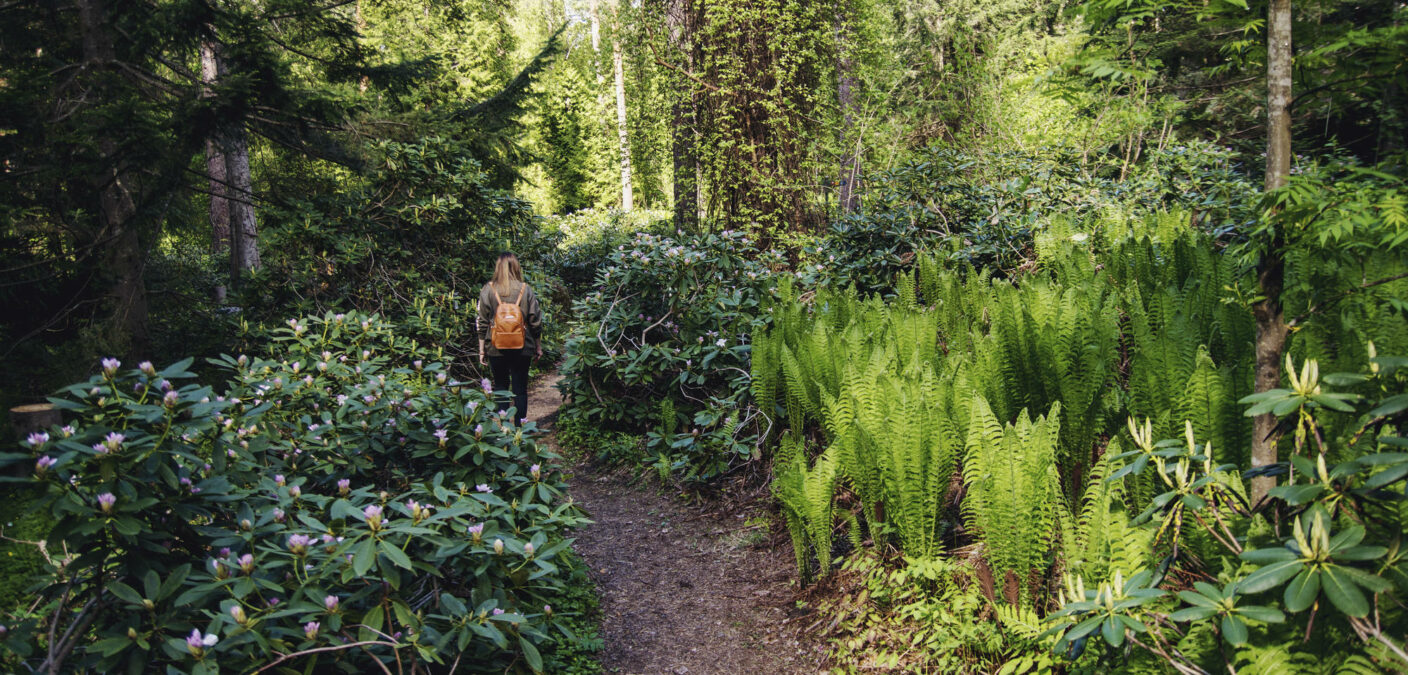 Arboretum Mustilan metsä